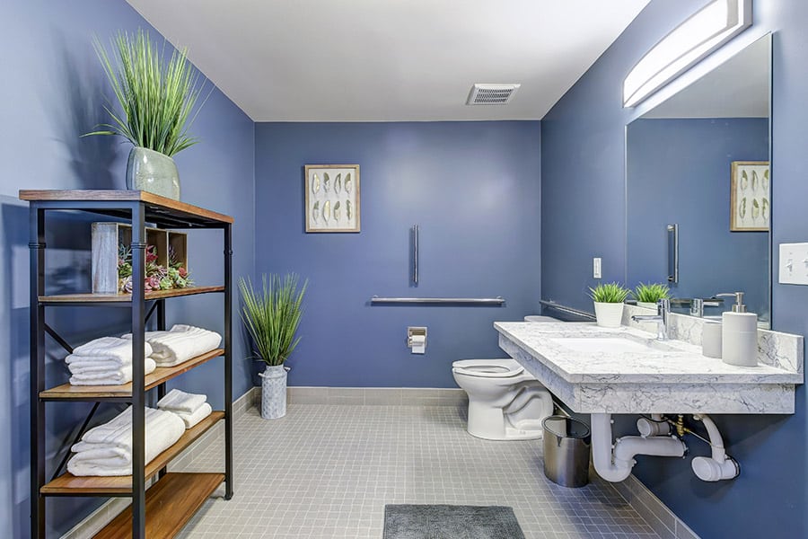 Modern bathroom with blue walls, plants, and tile floors 