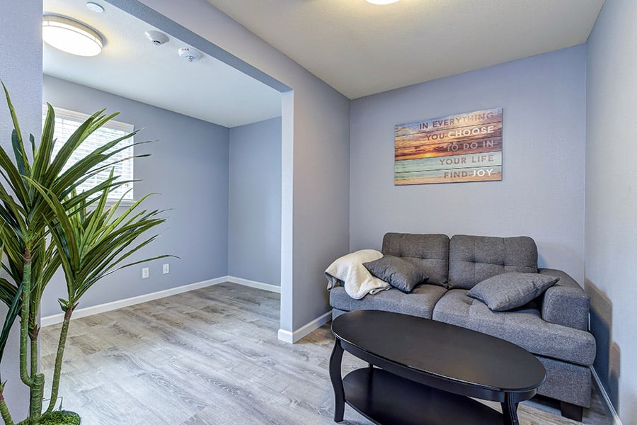 small reading room with blue walls, plants, and cozy love seat