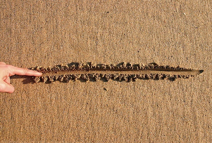 A finger draws a line in the sand is a metaphor for setting healthy boundaries from toxic family members.