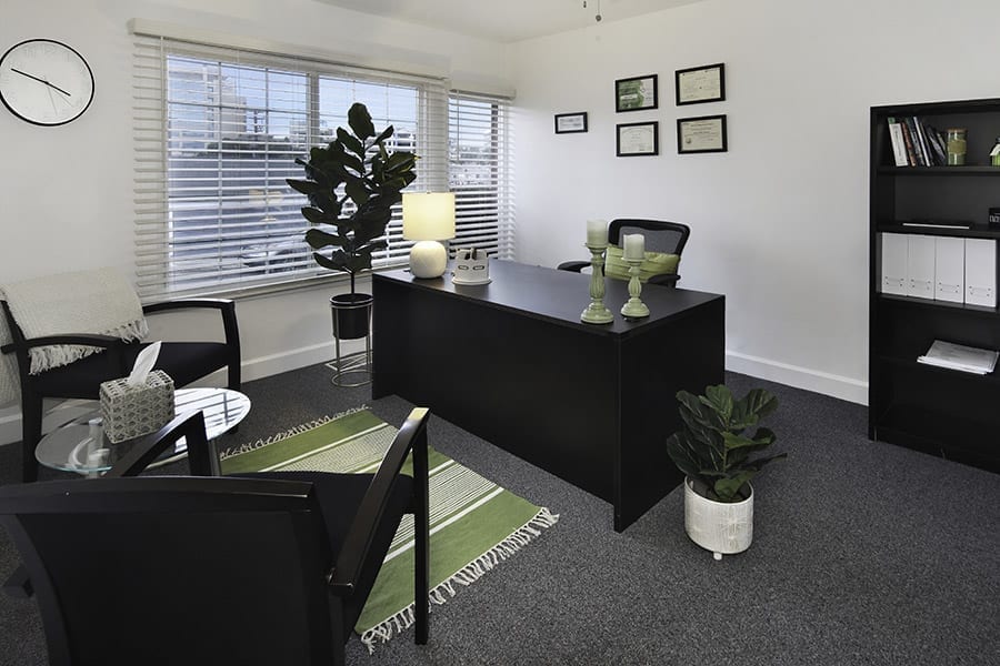 Brightly lit office with plants, black desk, chairs, window