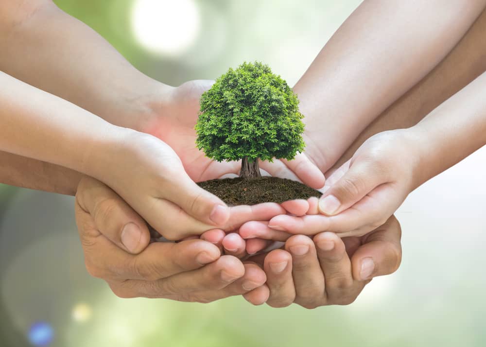 Large male hands cupped with smaller female hands in them, cupped with children's hands in them, cupping small tree growing