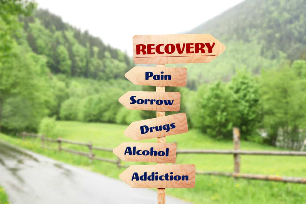 In a forest, a wooden sign with multiple arrows facing multiple directions are labeled with different words describing recovery.  