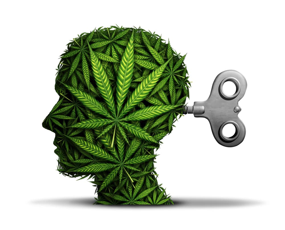 Digital profile of marijuana leaves in the shape of person's head with machine toy turn knob at the back