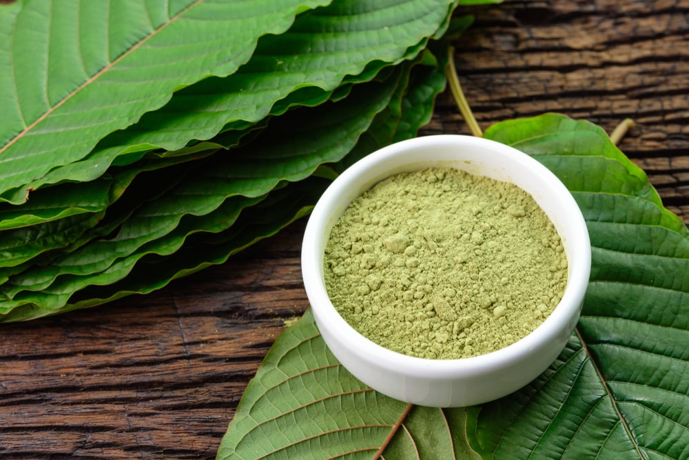 ceramic bowl of fine crushed green kratrom powder, sitting on green leaves on top of wood table with green leaves in the the back 