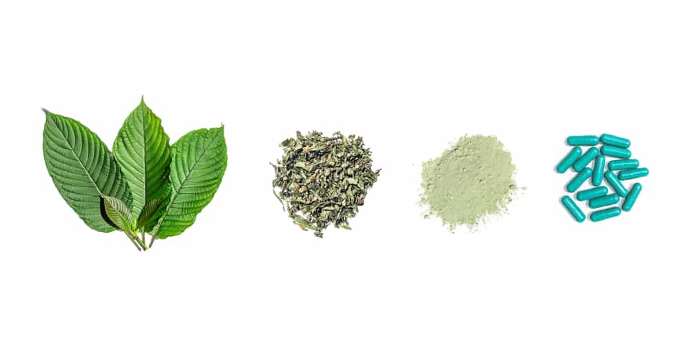 white background with leaves, crumbled leaves, powder, then pills- the process of creating kratom pills