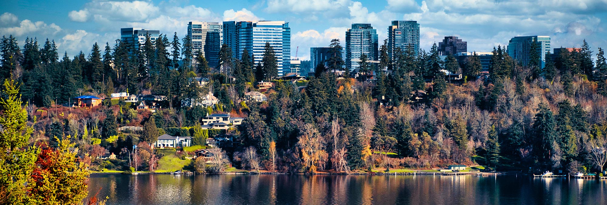 City scape scenery of Bellevue with skyline and many trees, homes, and lake in the forefront