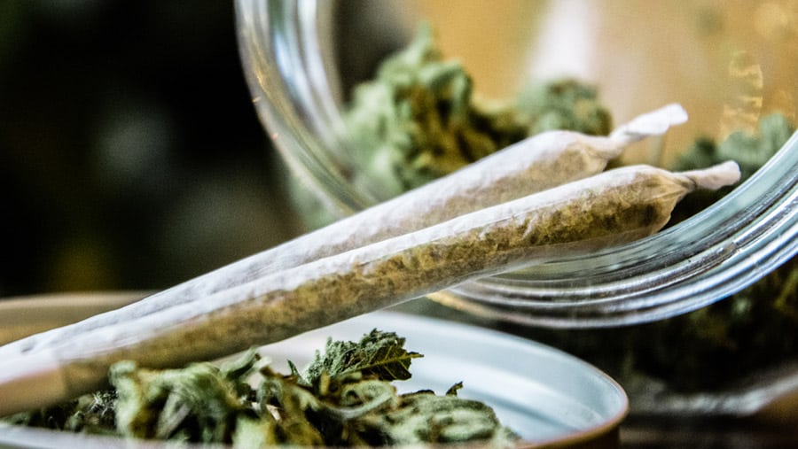 A clear jar filled with cannabis buds and a few buds on the lid of the cap underneath two rolled up marijuana blunts. 