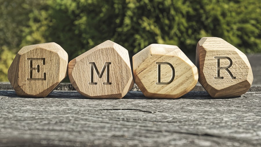 With a background of trees in a forest, four wooden blocks with the letters EMDR carved on each block represent elements of EMDR therapy. 