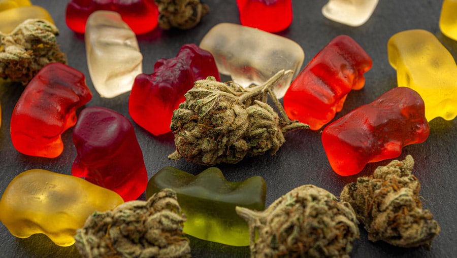 Colorful gummy bears and small cannabis buds are meant to represent edible marijuana. 
