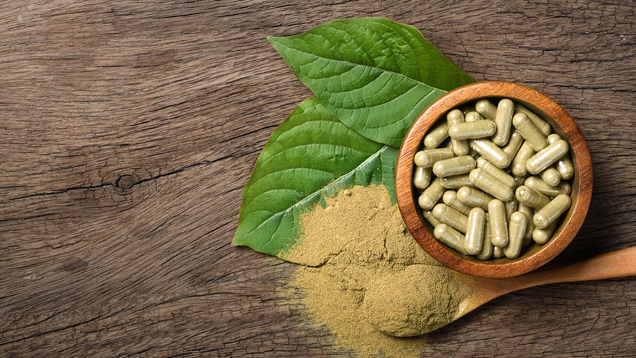 Kratom in the form of a tropical plant leaf, powder and capsules laid out on a table shows that you can get addicted to kratom in any form. 