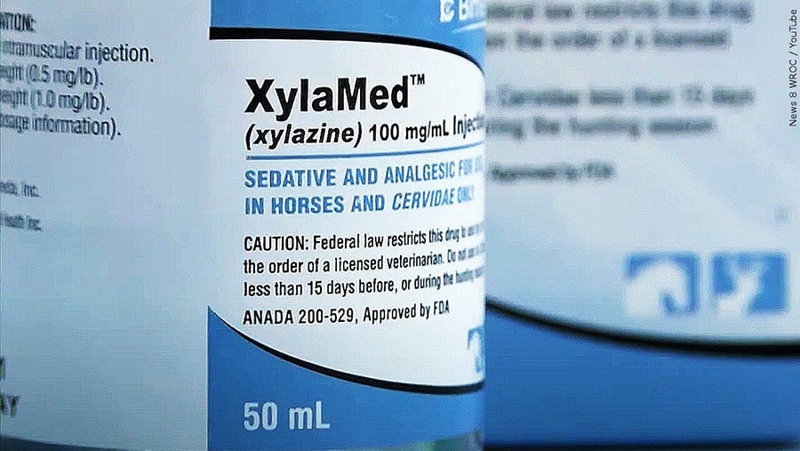 A close up of a blue and white xylazine medication bottle representing the dangers of xylazine side effects in humans.