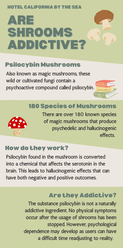 Infographic listing important facts about magic mushrooms and their potential for addiction.
