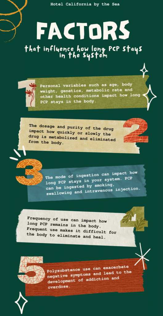 Infographic showing five main factors that effect how long PCP stays in the system.