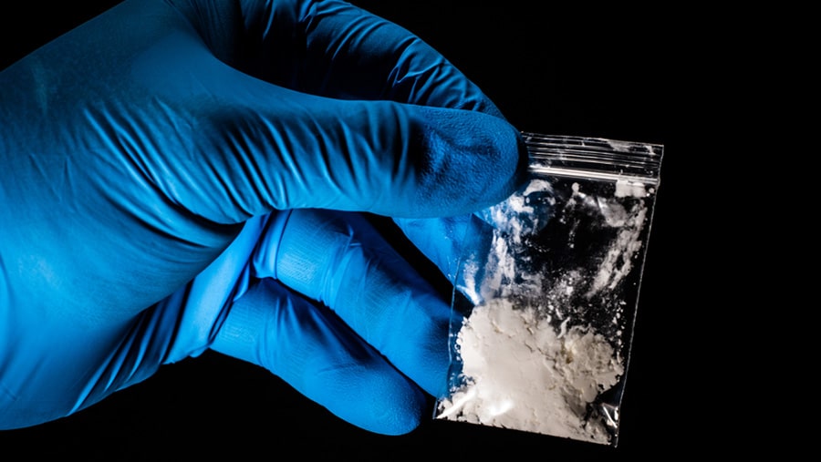 hand wearing blue latex glove holding a bag of fentanyl powder