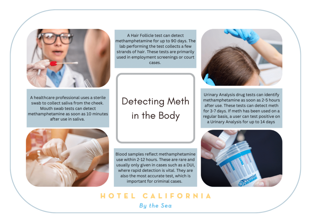 Infographic showing how to detect meth in the body.