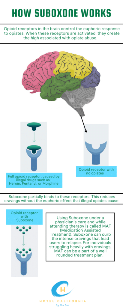 Infographic illustrating how suboxone works once it enters the body.