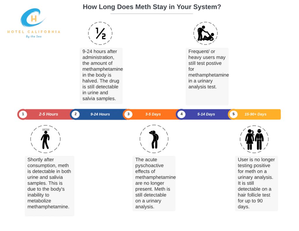 Infographic showing how long does meth stay in your system.