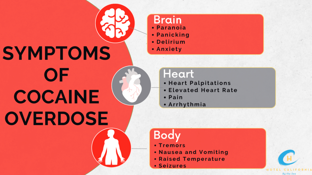 Symptoms of cocaine overdose