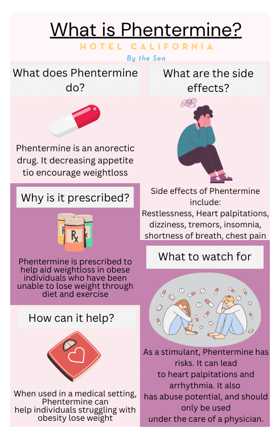 Infographic showing the facts about Phentermine.