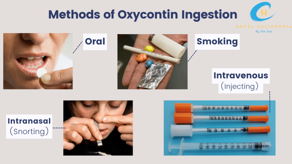 Graph labeled "Methods of Oxycontin ingestion" with images showing all the ways that oxycontin can be ingested