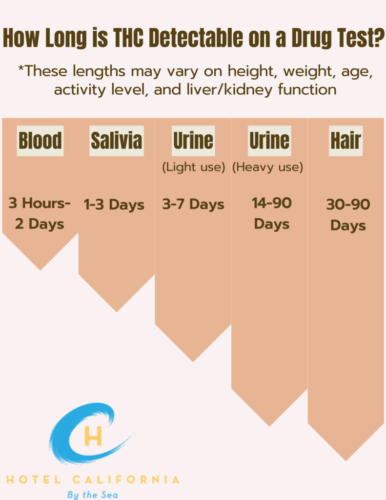 Infograph comparing how long THC can be detectable in different types of drug tests.