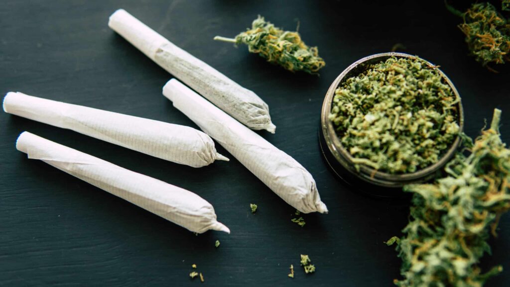 Blunt rolls of cannabis next to ground up cannabis buds represent the need for THC detox in those with a marijuana use disorder.