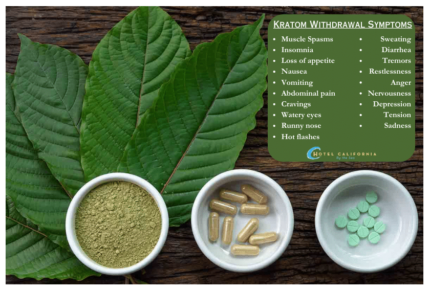 Infograph showing different forms of kratom and describing different symptoms.