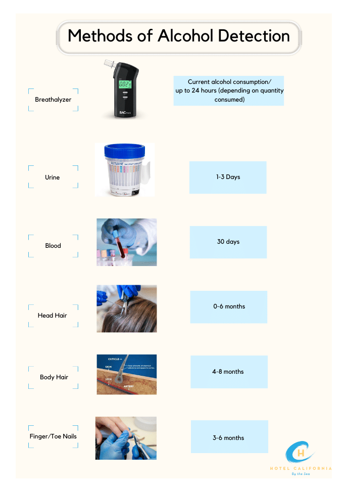 Infograph showing timeline detection for various types of alcohol testing such as urine, breath and blood tests.