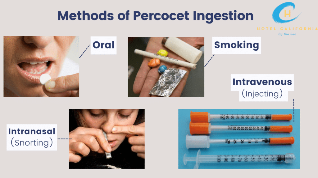 Infographic showing the different methods of Percocet ingestions.