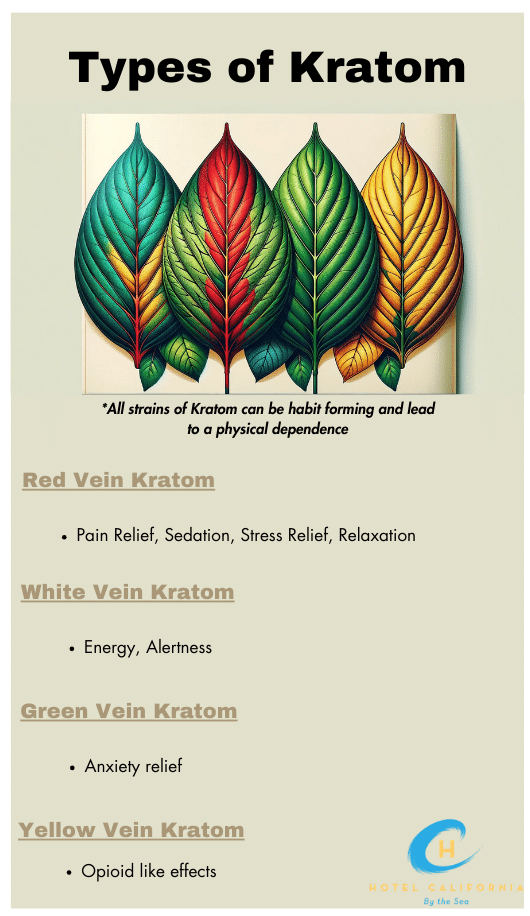 Infograph describing the different types of kratom.