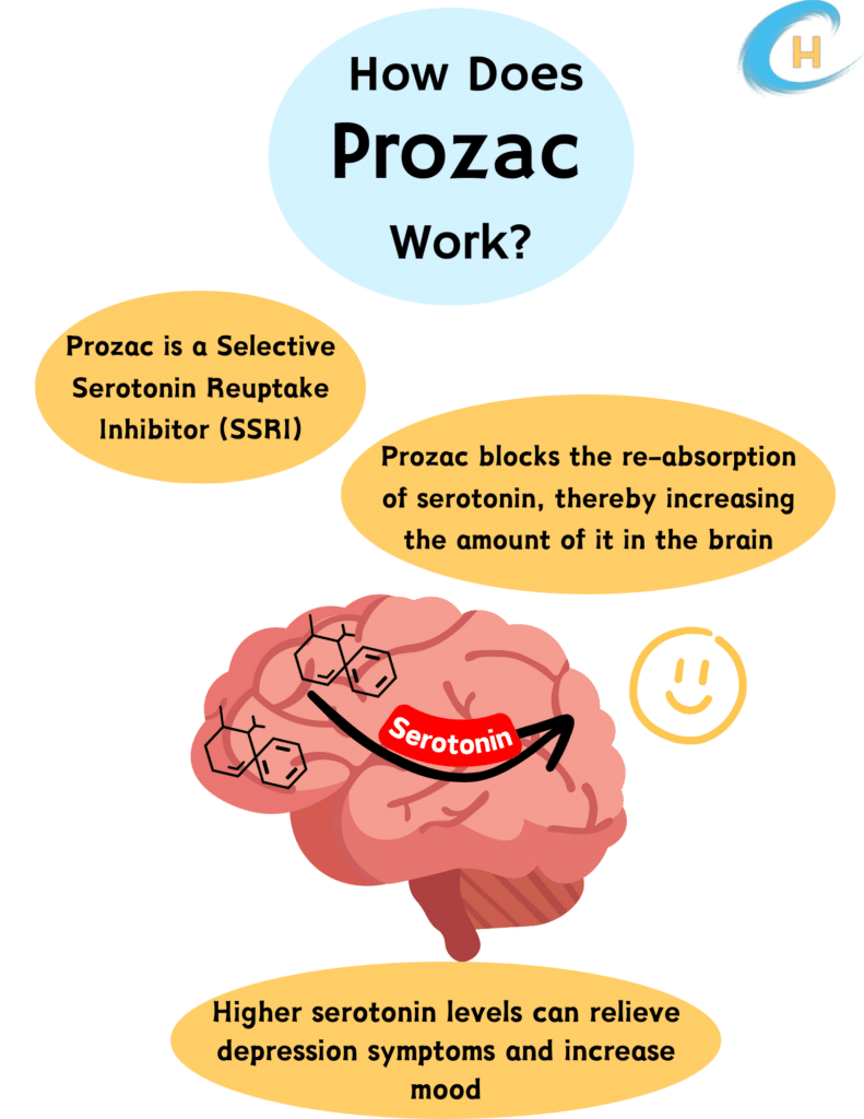 Infograph showing how Porzac works.