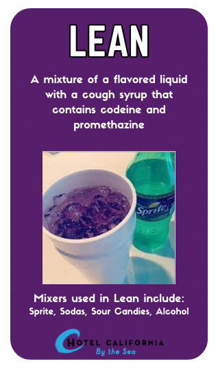 Infograph describing what is lean and what the substance is made of.