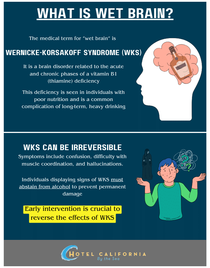 Infograph describing what is wet brain and how does it related to alcohol use disorder.