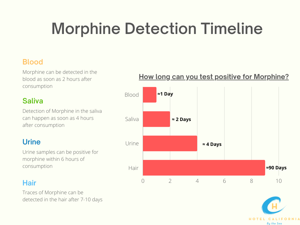 Infographic depicting the morphine detection timeline.
