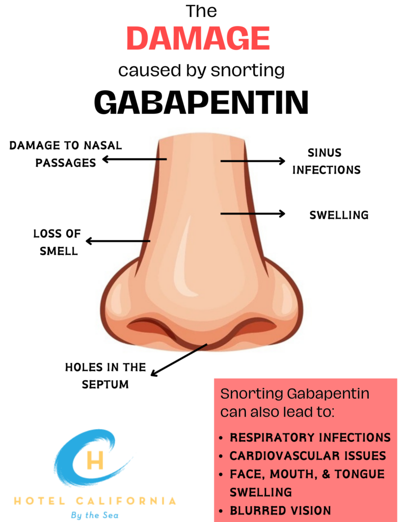 Infographic with a large nose showing the different side effects and damages that can be done when snorting gabapentin.