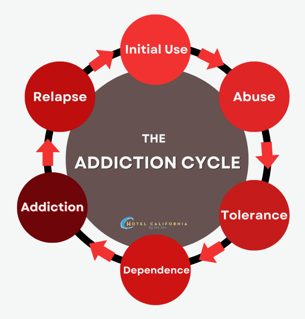Infograph showing the different phases of an addiction cycle.