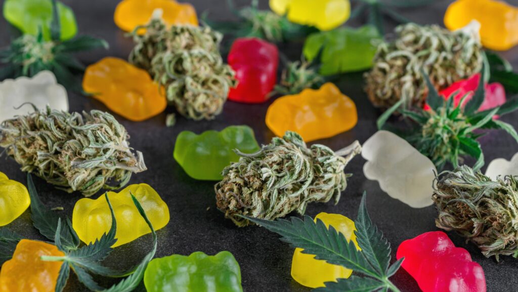 Green, orange, yellow and red cannabis gummies are laid out next to marijuana buds.