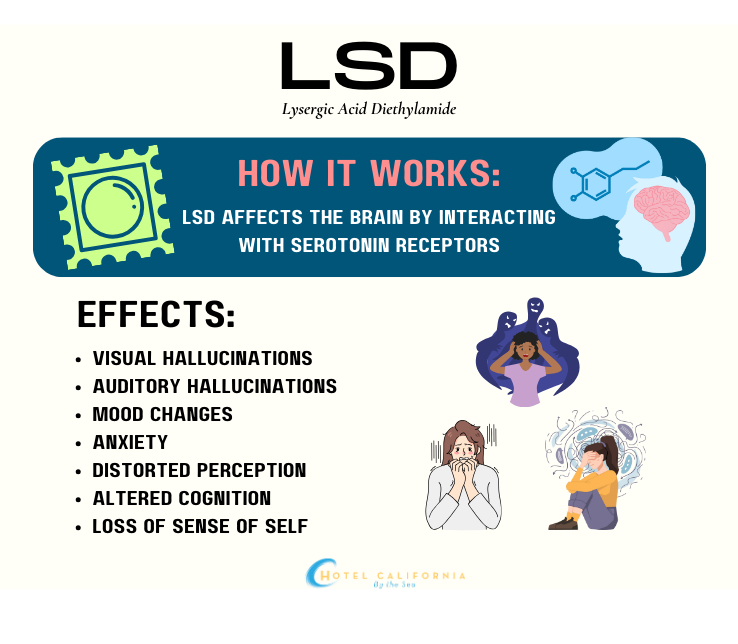 Infograph showing how LSD works and its effects on the body.