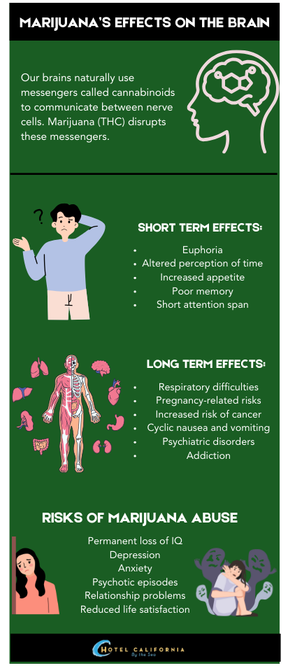 Infograph showing the effects of marijuana and THC on the brain.