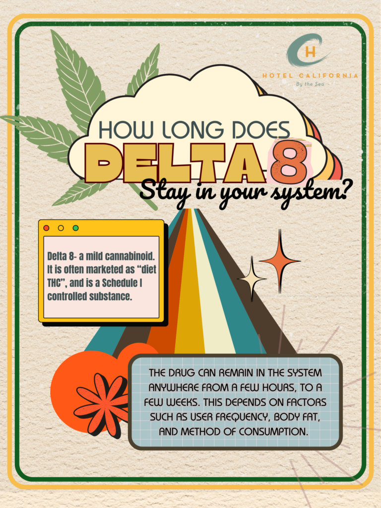 Infographic bout how long Delta 8 THC stays in your system when you consume the drug.