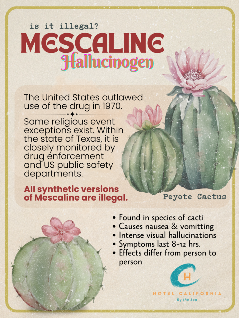 Is Mescaline Legal Is Mescaline Legal