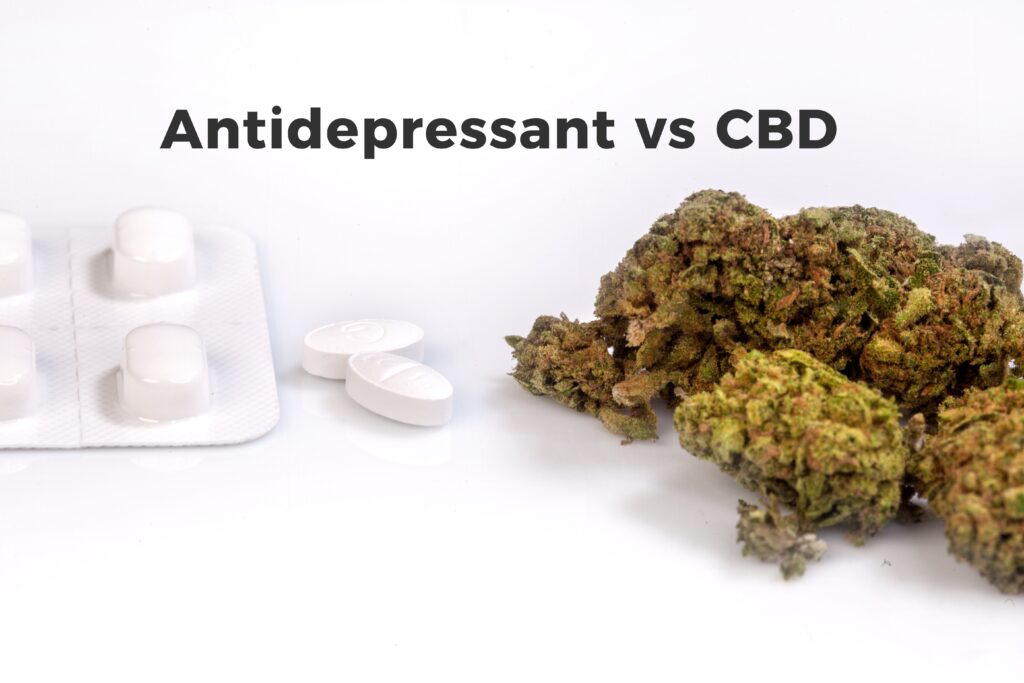 Xanax and pot are commonly used substances. White antidepressant pills are next to cannabis buds.
