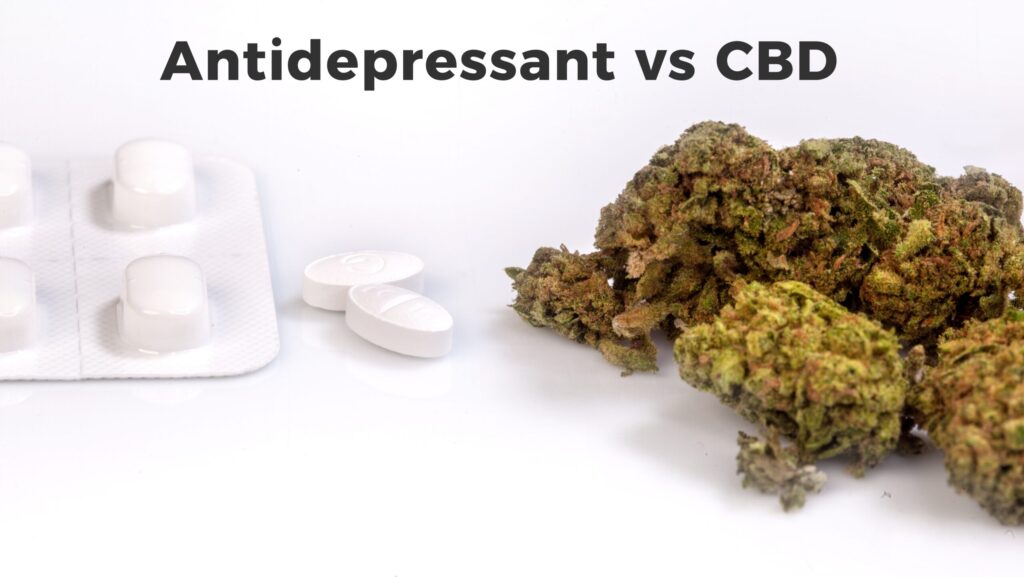 Xanax and pot are commonly used substances. White antidepressant pills are next to cannabis buds.