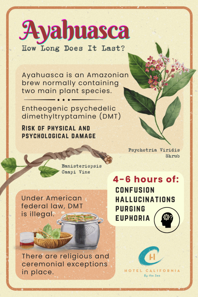 Infograph with facts on how long ayahuasca can last and the side effects you can experience.