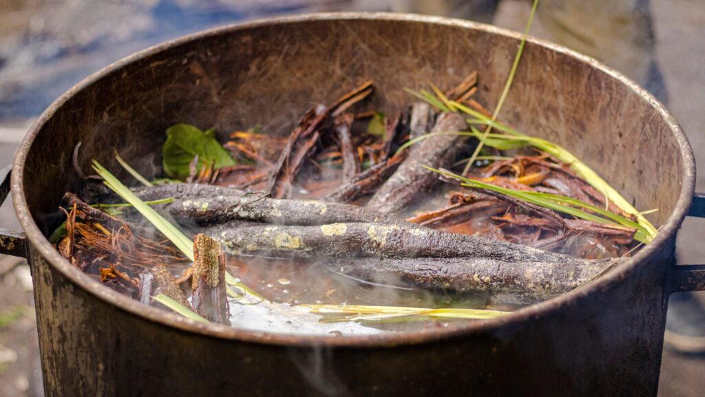 A metal pot brewing roots and leaves to create ayahuasca and representing how long ayahausca lasts.
