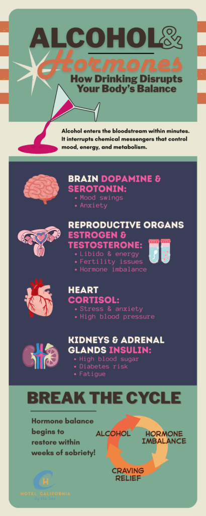 Infograph showing the relationship between alcohol and hormones and how they impact each other.