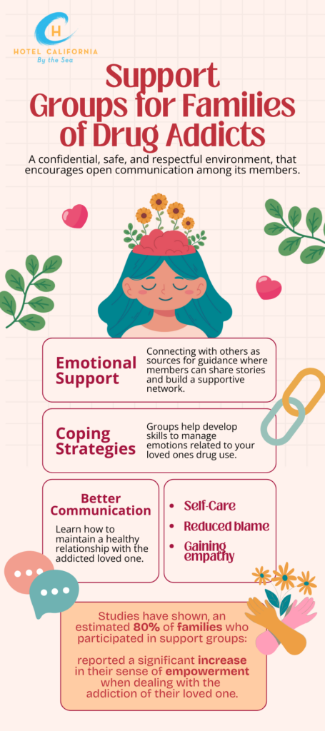 Infograph showing the positive impact of support groups for families of drug addicts.