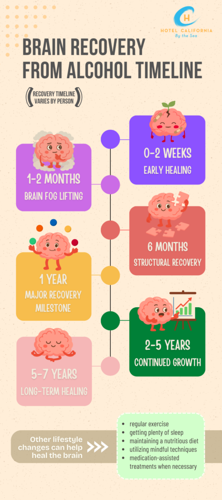 Infograph showing the brain recovery from alcohol timeline.