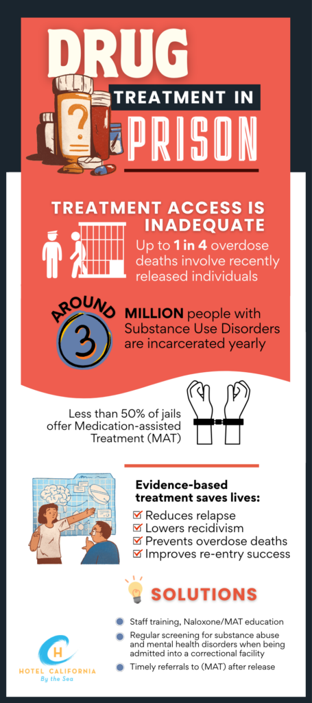 Infograph showing what drug treatment in prison consists of and how it impacts the general population.