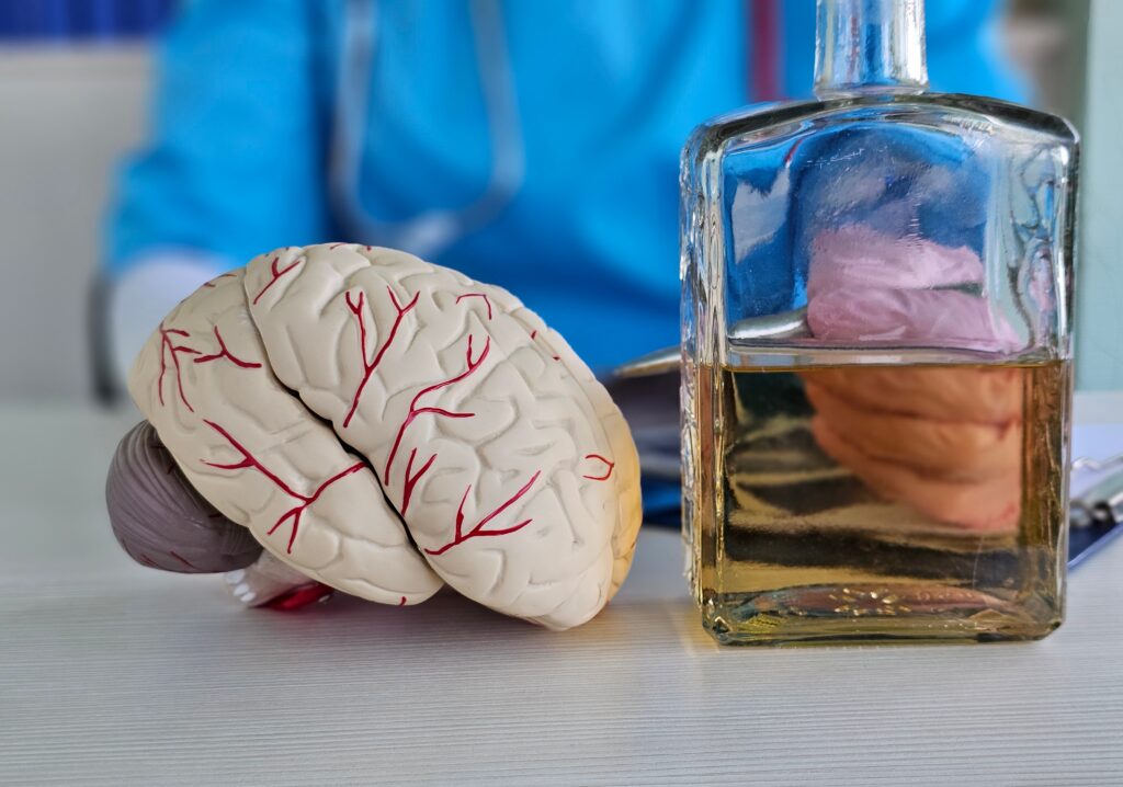 A bottle of liquor next to a brain represents the controversial question of is addiction a disease or a choice.